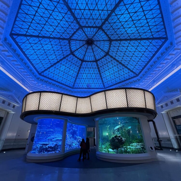Shedd EMP project